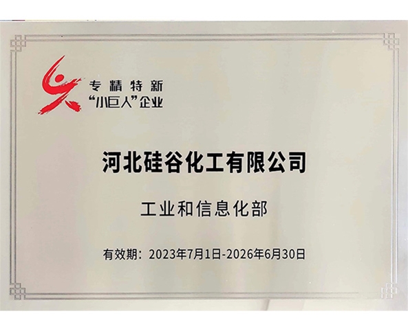 專精特新小巨人企業(yè)